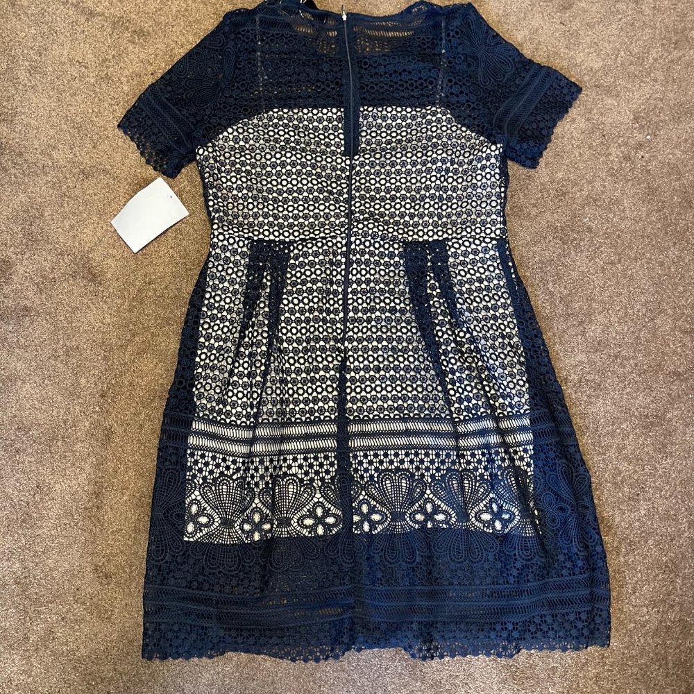 Paper Dolls London Navy Overlay Dress - Picture 4 of 8